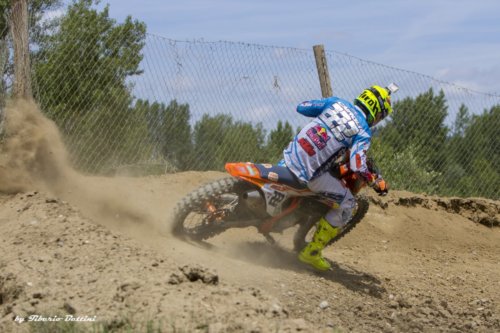 tony cairoli 15 20160609 1078355861