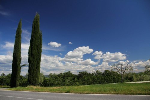 toscana 2 20140517 1110819925