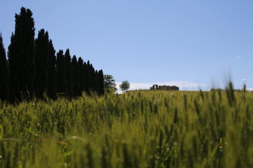 toscana 6 20140517 1300870735