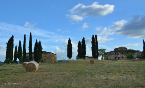 valdarno 1 20140713 1079965340